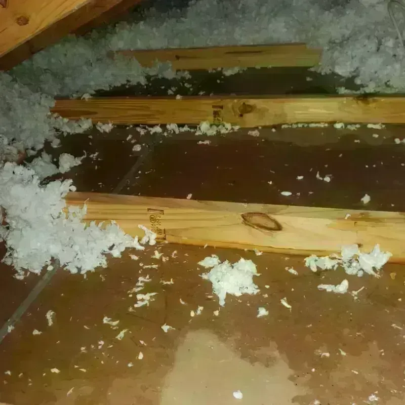 Attic Water Damage in Circle D-KC Estates, TX